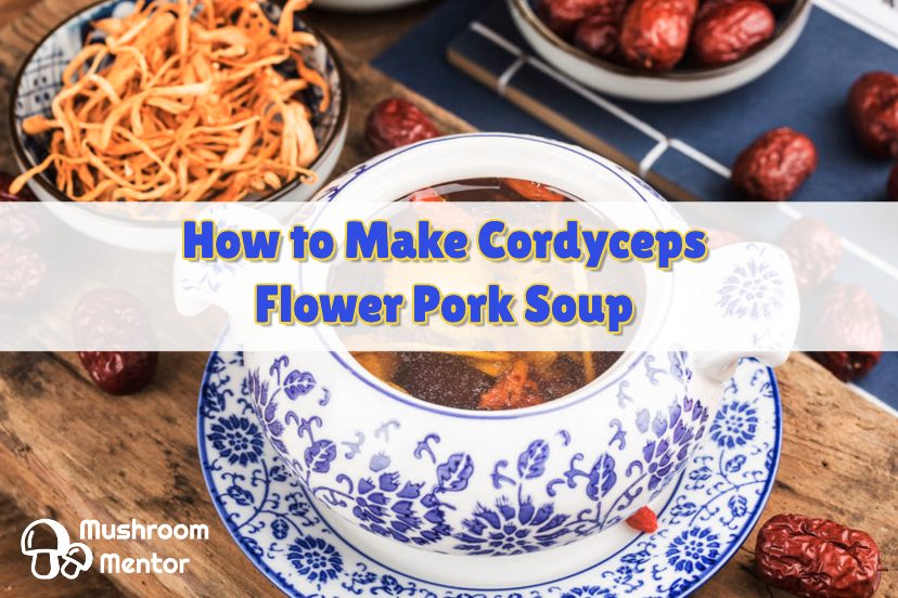 The Healing Benefits Of Cordyceps Flower Soup