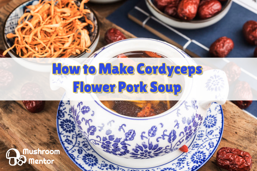 benefits of cordyceps flower pork soup