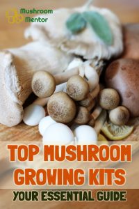 top mushroom growing kits