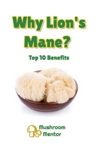 top 10 benefits of lions mane mushroom