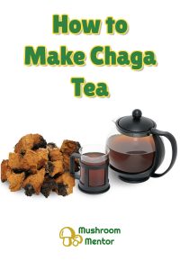 how to make Chaga tea