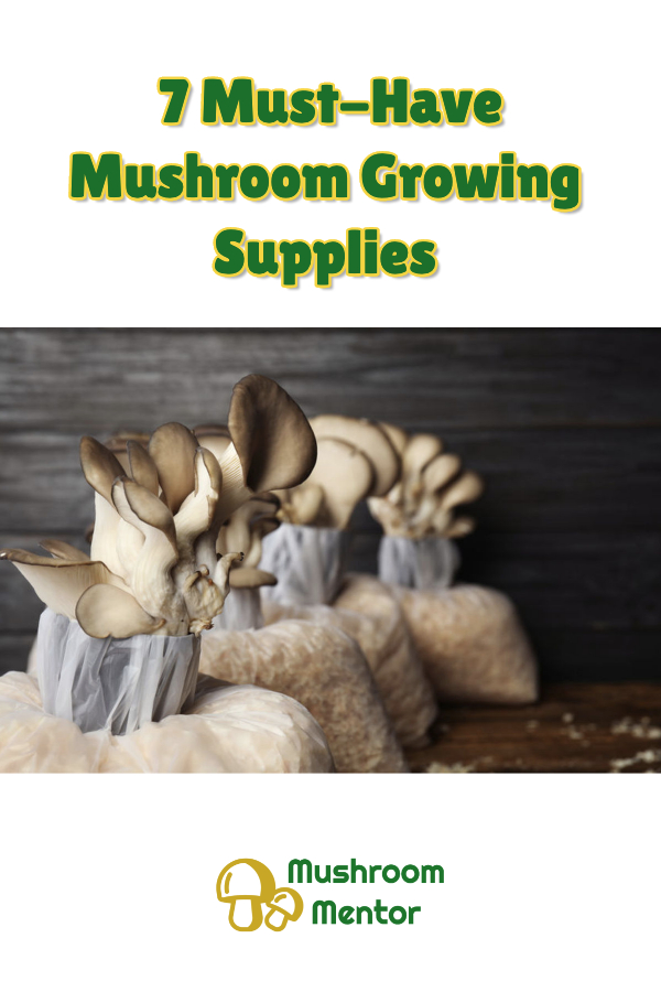 top mushroom growing supplies