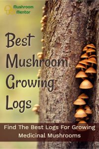 best mushroom growing logs