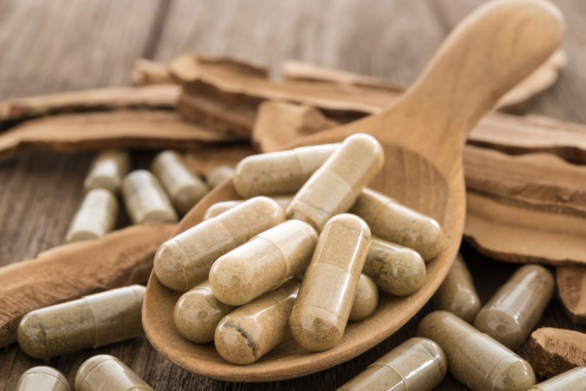 Best Mushroom Supplements On The Market Today